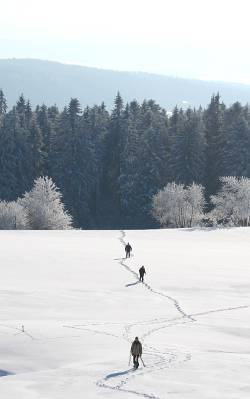 Winter scene Haut Doubs