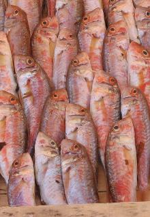 Box of red mullet