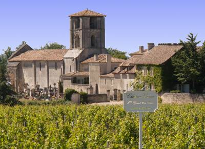 Vineyard in Saint Emilion