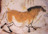 Cave painting Lascaux