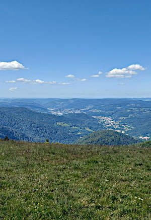 Vosges