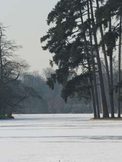 Frozen lake - Bois de Boulogne