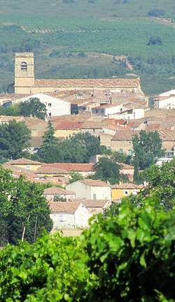 Rural Languedoc