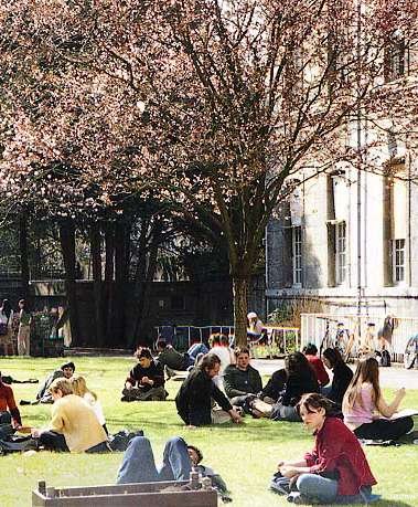 Studying in the Spring