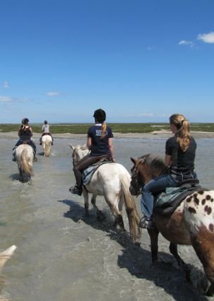 Riding in the Camargue