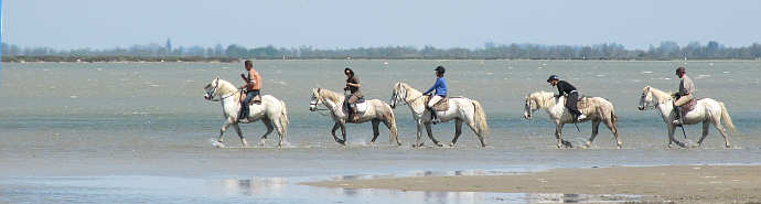 Riding in the Camargue