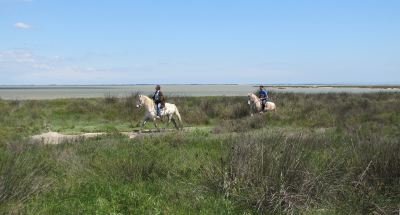 Camargue wetlands