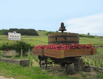 Burgundy vineyards at Volnay
