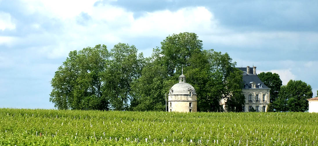 Médoc wine estate