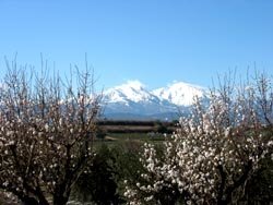 Le Canigou in February