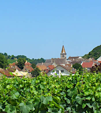 Burgundy vineyard and village