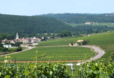 The Burgundy wine trail