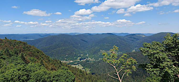 The Vosges mountains