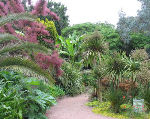 Botanical gardens Court d' Aron